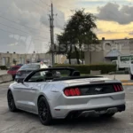 Thumbnail de galería