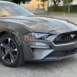 Thumbnail de galería