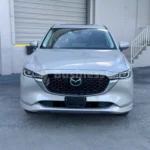 Thumbnail de galería