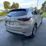 Thumbnail de galería