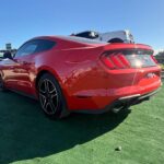 Thumbnail de galería