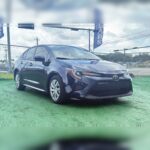 Thumbnail de galería